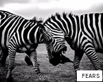 FEARS anagram