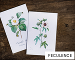 FECULENCE anagram