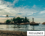 FECULENCE anagram