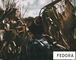 FEDORA anagram