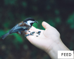 FEED anagram