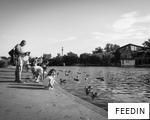 FEEDIN anagram