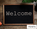 FEINTS anagram