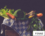 FENNE anagram