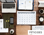 FETICIDES anagram