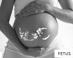 FETUS anagram