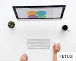 FETUS anagram