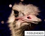 FIDDLEHEADS anagram