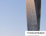 FIDDLEHEADS anagram