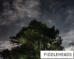 FIDDLEHEADS anagram