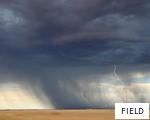 FIELD anagram