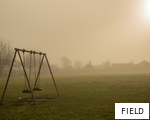 FIELD anagram