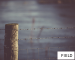 FIELD anagram