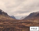 FIELD anagram