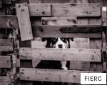 FIERC anagram