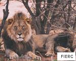 FIERC anagram