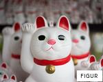 FIGUR anagram