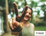 FINGE anagram