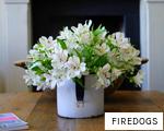FIREDOGS anagram