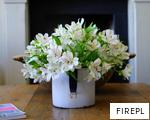 FIREPL anagram