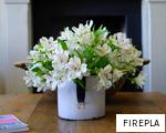 FIREPLA anagram
