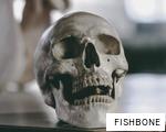 FISHBONE anagram