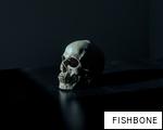 FISHBONE anagram