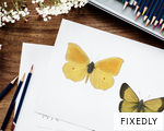 FIXEDLY anagram