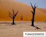 FLAWLESSNESS anagram