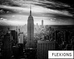 FLEXIONS anagram