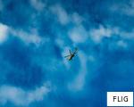 FLIG anagram