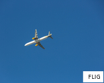 FLIG anagram
