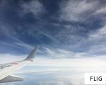 FLIG anagram
