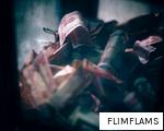 FLIMFLAMS anagram