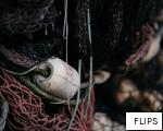 FLIPS anagram