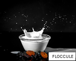 FLOCCULE anagram