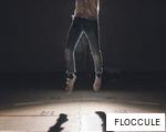FLOCCULE anagram