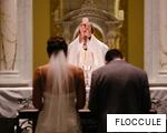 FLOCCULE anagram