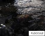 FLOCCULE anagram