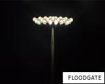 FLOODGATE anagram