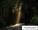 FLOODLIGHT anagram