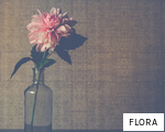 FLORA anagram
