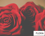 FLORA anagram