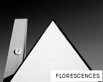 FLORESCENCES anagram