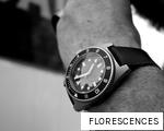 FLORESCENCES anagram