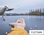 FLOTSAM anagram