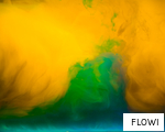 FLOWI anagram