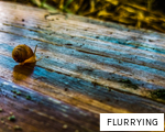 FLURRYING anagram