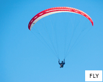 FLY anagram