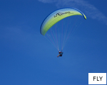 FLY anagram
